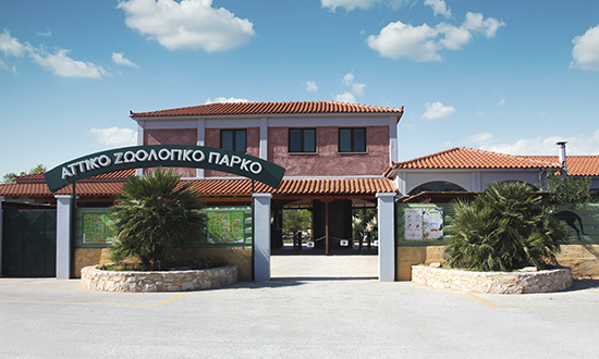 Οικογενειακή απόδραση στο Αττικό Ζωολογικό Πάρκο