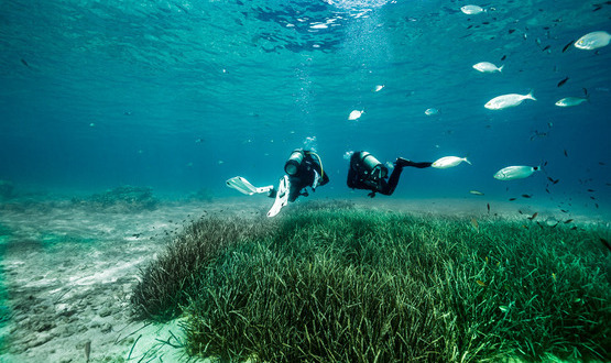 Είστε έτοιμοι να εξερευνήσετε τον βυθό της θάλασσας; 